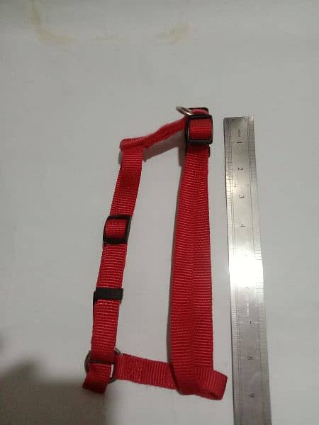 Branded Dog harness, collar & Muzzle for sale 14