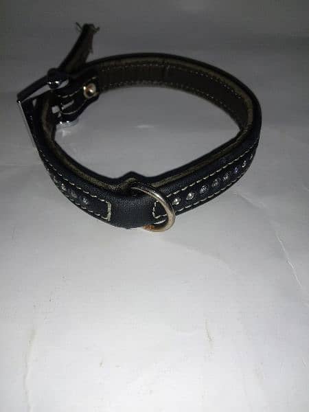Branded Dog harness, collar & Muzzle for sale 17