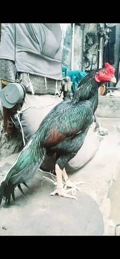 good