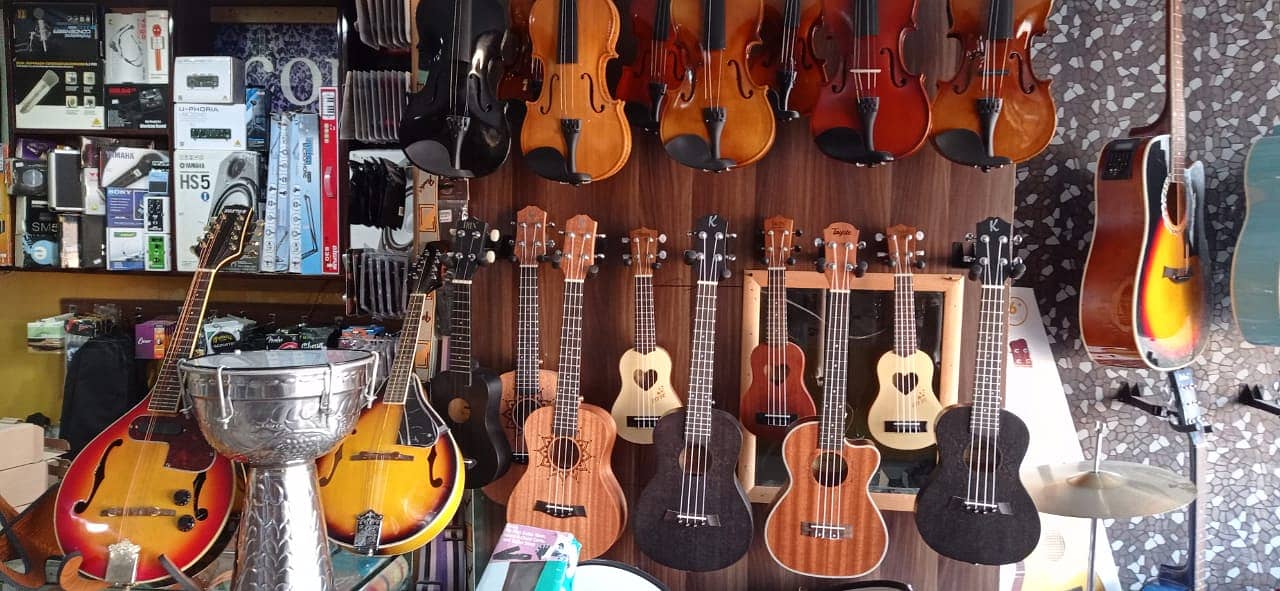 Branded ukuleles collection at Acoustica guitar shop 1