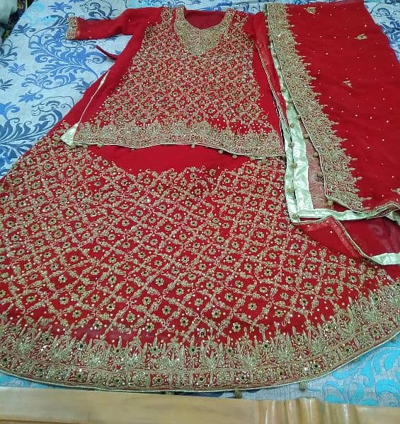 red lehnga in large size 0