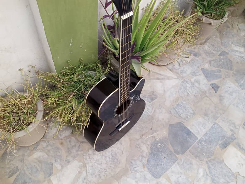 Branded Acoustic Guitar 8