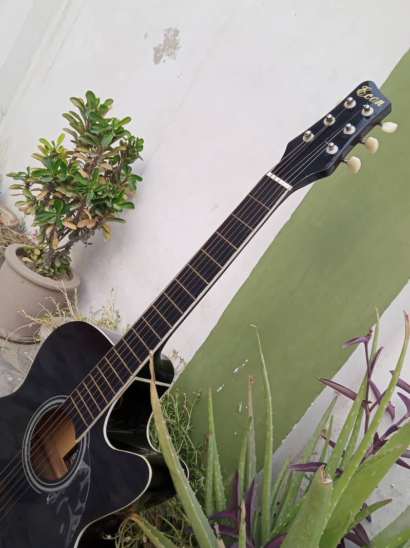 Branded Acoustic Guitar 10