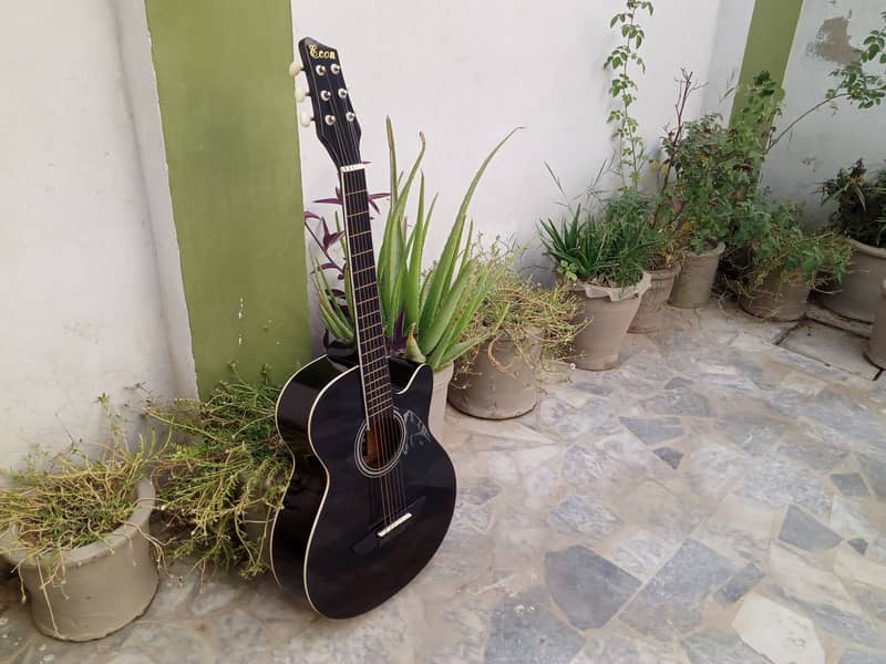 Branded Acoustic Guitar 12