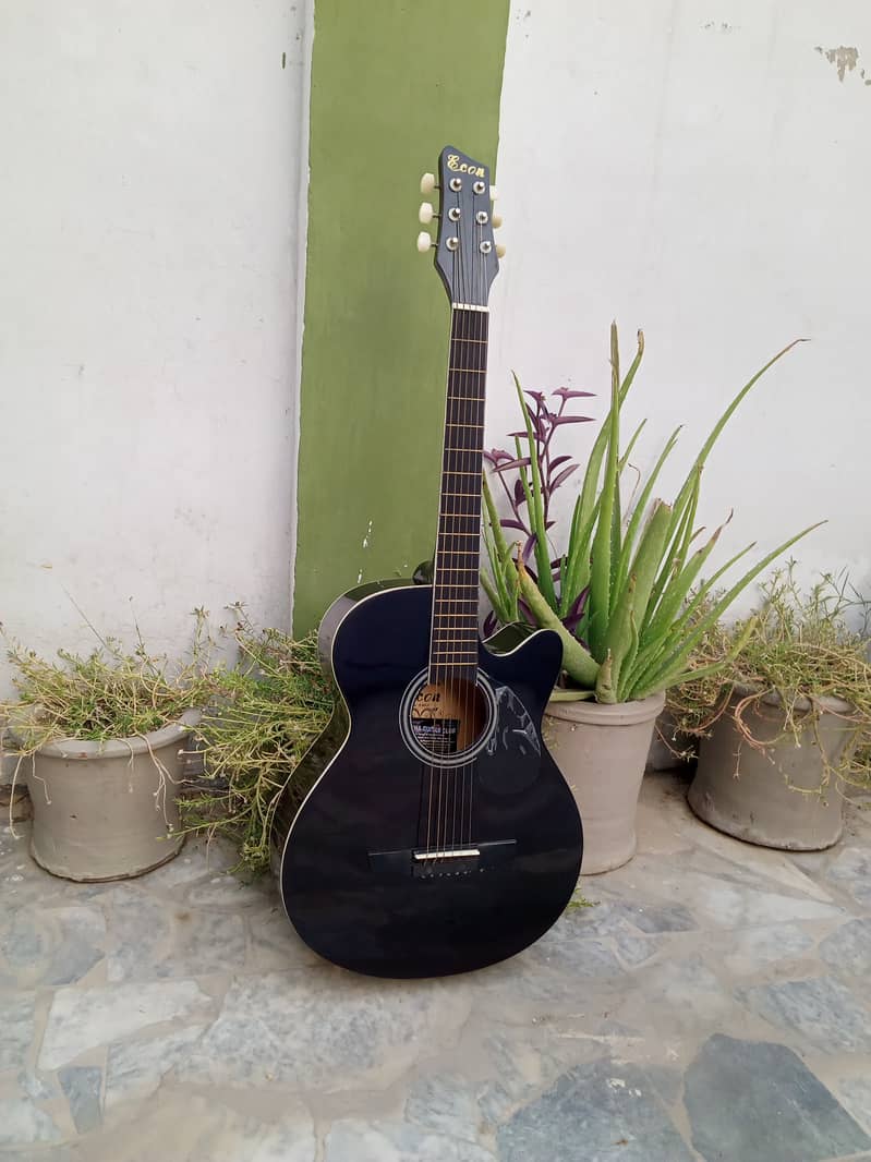 Branded Acoustic Guitar 16