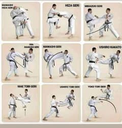 School Karate class