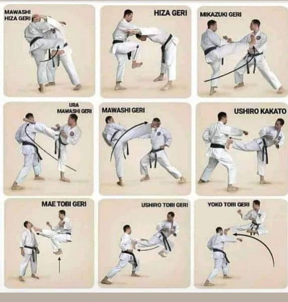 School Karate class 0