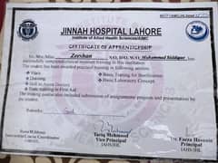 I Am male Nurse at Jinnah Hospital