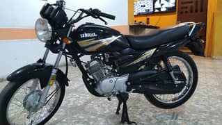 125 New Yamaha Bikes Motorcycles For Sale In Karachi Olx Com Pk