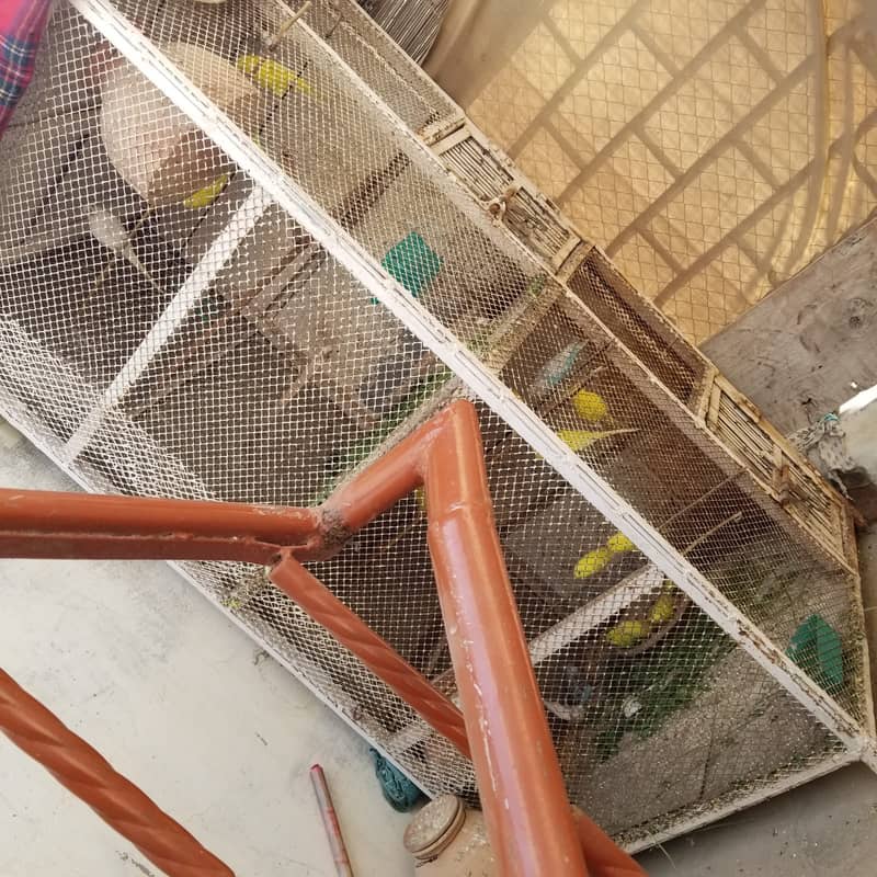 Iron Strong Cage for Birds 0