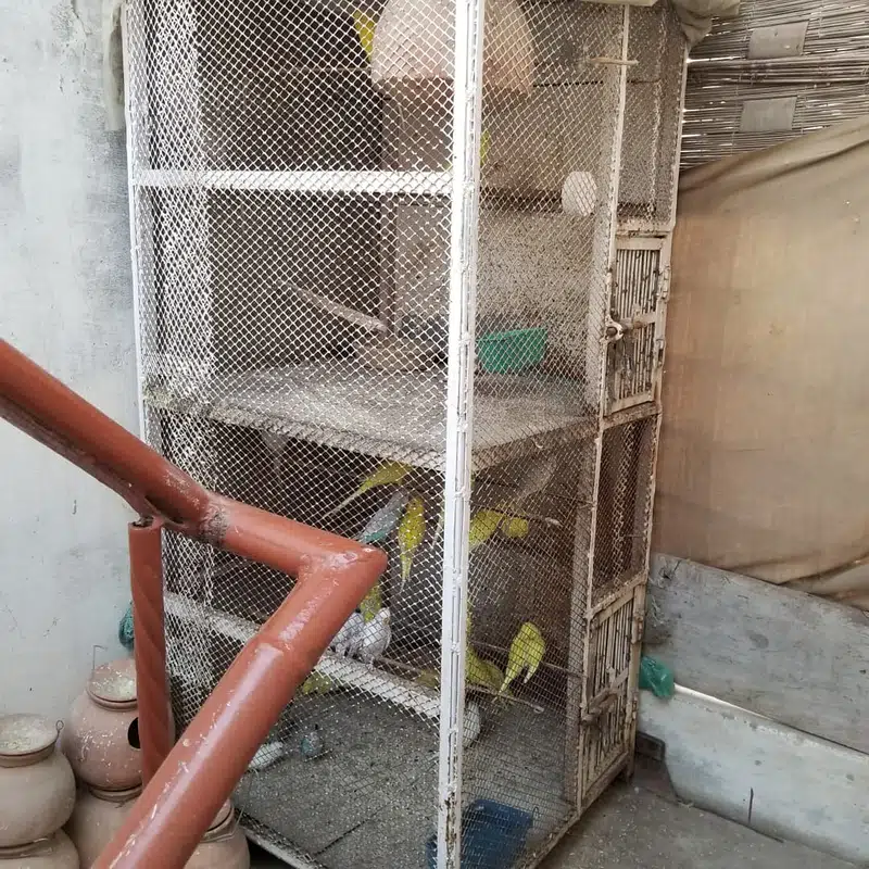 Iron Strong Cage for Birds — photo 2