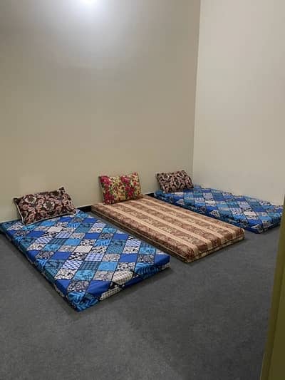 The Crown Palace Boys Hostel(1-2-3-4)Near ARID UNI & Metro.