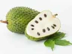 soursop anti cancer fruit