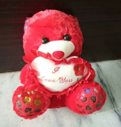 Soft Teddy Bear Toy 1