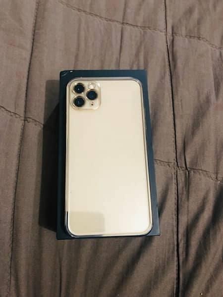 Iphone 11 pro max 256 Gb 1