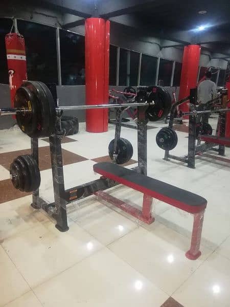 Functional Trainer and Commercial Gym Equipments and Accessories 5
