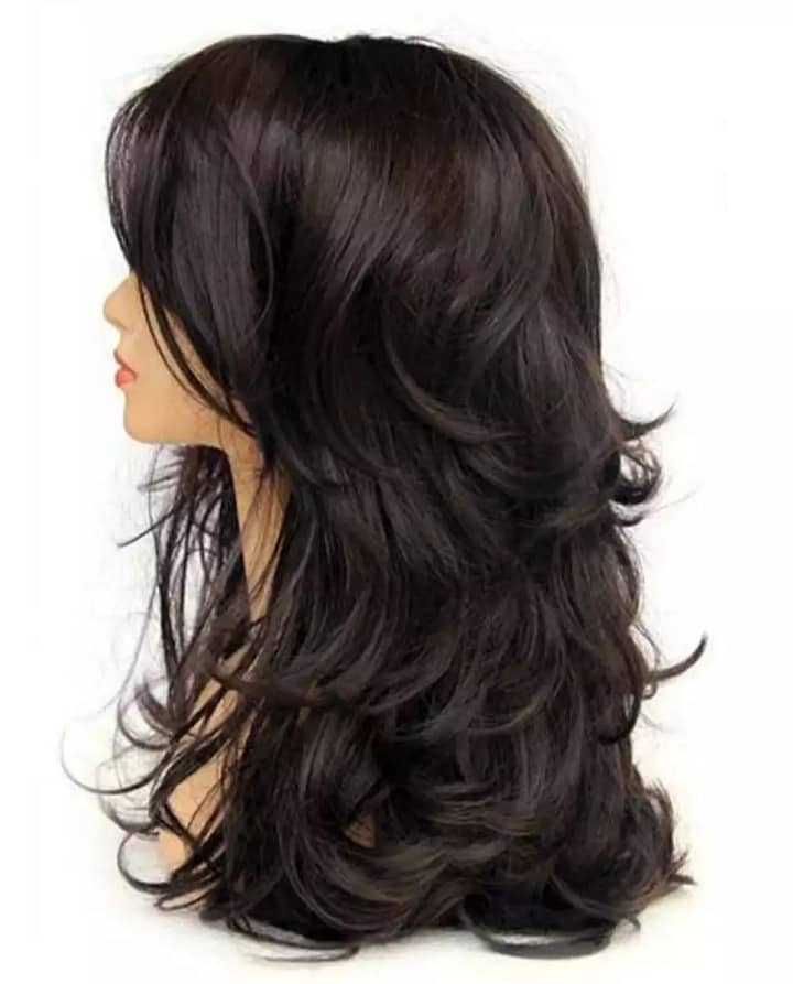 Long Straight Hairstyle Women Wigs Black brown 6