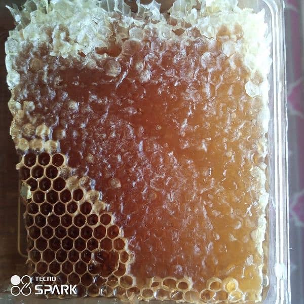 Pure Organic Honey خالص دیسی شہد 3