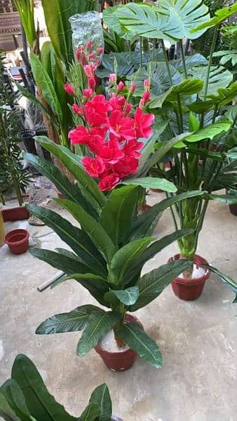 Artificial Plants in Different Designs available 1