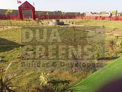 dua green farmhouse and cattlefarm 19