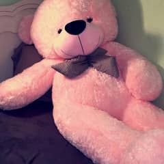 Teddy bears | Gaint size | huggable | jumbo imported teddy bears 0
