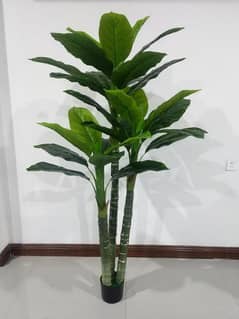 Artificial Banana, Palm, Money, Bonsai Plants available