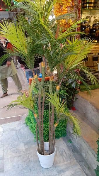 Artificial Banana, Palm, Money, Bonsai Plants available 5