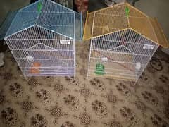 parrot cage olx