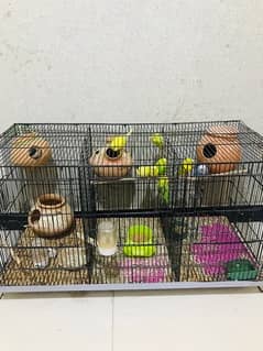 parrot cage olx