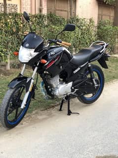 125 Yamaha Bikes Motorcycles For Sale In Bahawalpur Olx Com Pk
