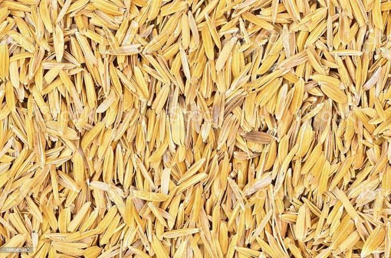 rice husk available ha fresh and dust free 1