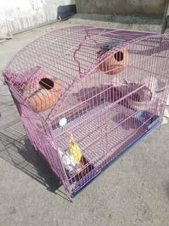 parrot cage olx