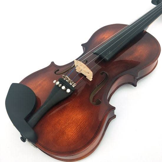 Quality violins collection at Acoustica Guitar Shop 1