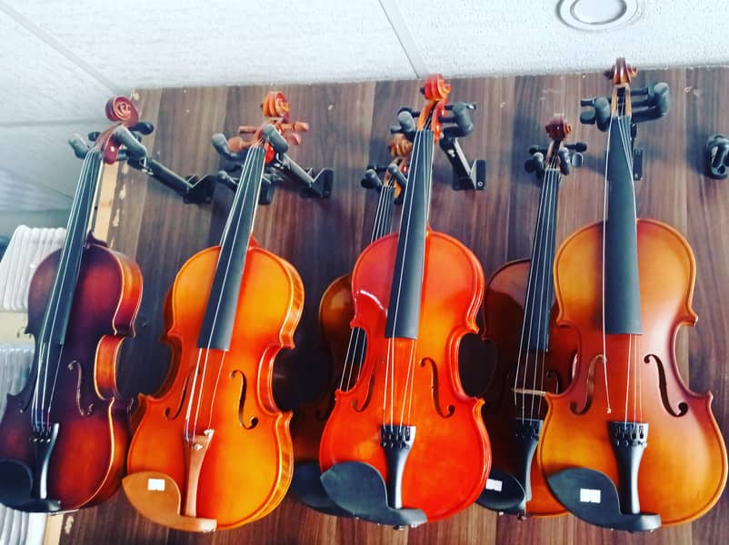 Quality violins collection at Acoustica Guitar Shop 2