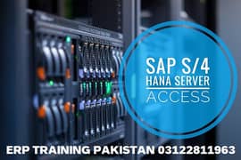 SAP S4 Hana Remote Access | SAP S4 Hana Online Access | Hana 2020