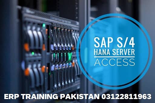 SAP S4 Hana Remote Access | SAP S4 Hana Online Access | Hana 2020 0