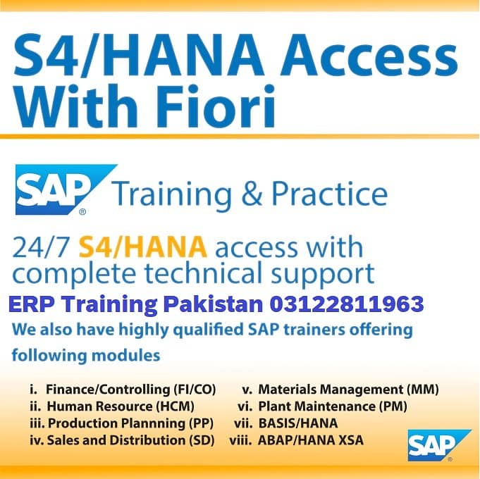 SAP S4 Hana Remote Access | SAP S4 Hana Online Access | Hana 2020 1