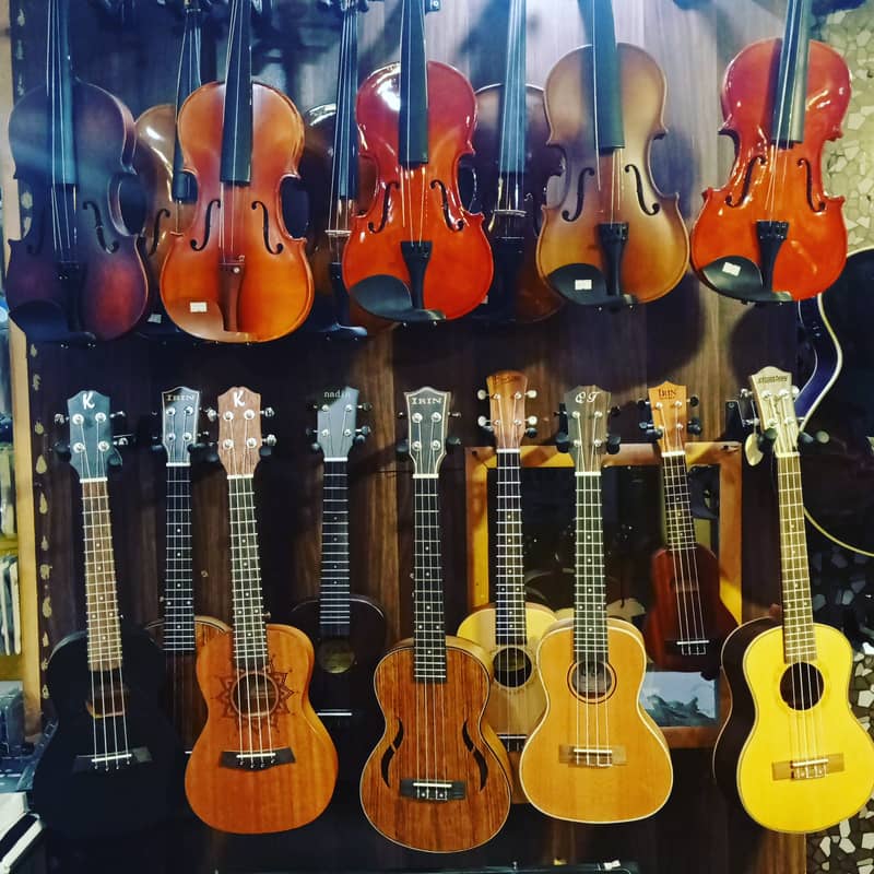 Branded ukuleles collection at Acoustica Guitar Shop 1