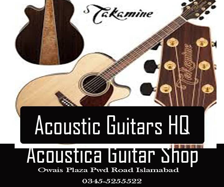 Best guitar collection at Acoustica Guitar Shop 2