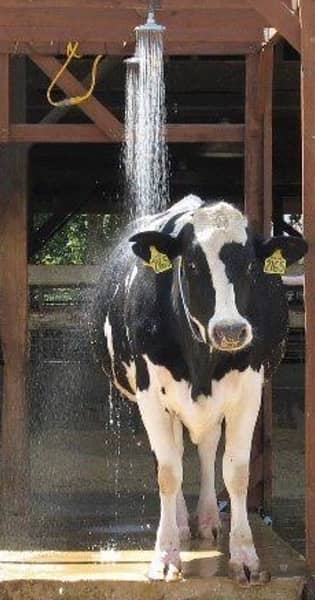 dairy nozzle dairy shower dairy sprinkler 2