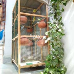 Bird Colony Cage alogewith dolis