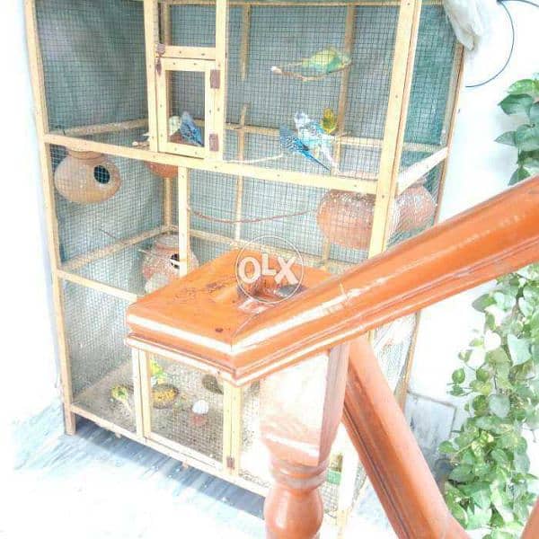 Bird Colony Cage alogewith dolis 1