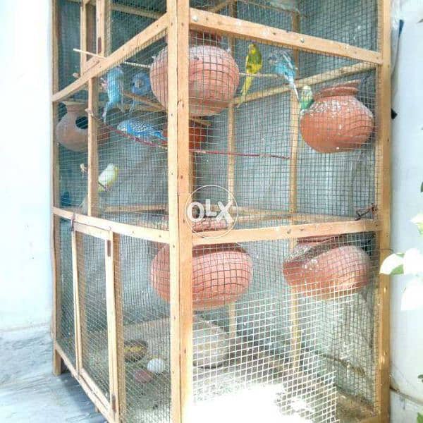 Bird Colony Cage alogewith dolis 2