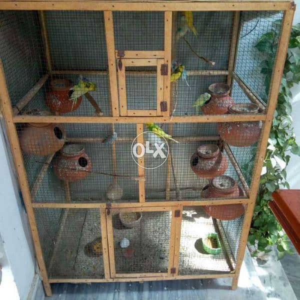 Bird Colony Cage alogewith dolis 3