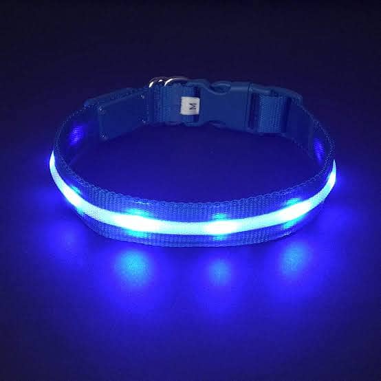 Dog Collar LED Adjustable. Imported Made in Germany. 0