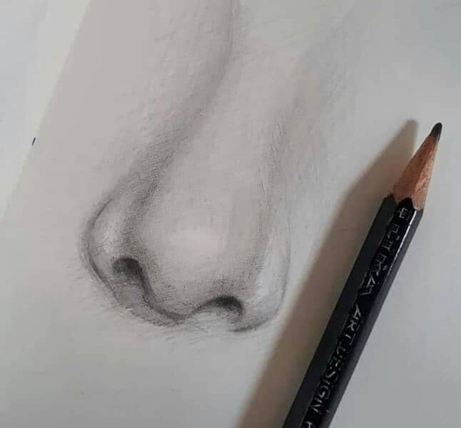 pencil sketch\ portrait 8