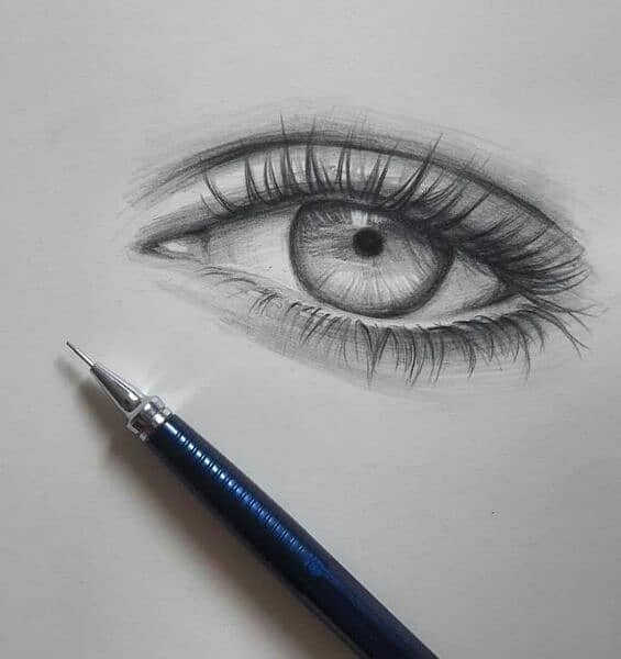 pencil sketch\ portrait 19