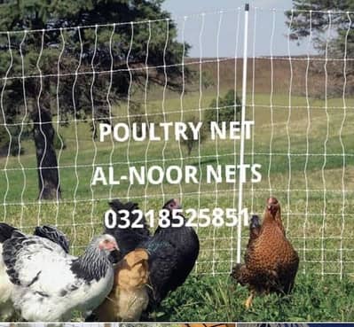 Sports Net , Poultry Net , Safety net , Bird Net 7