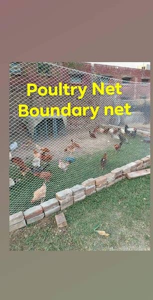 Sports Net , Poultry Net , Safety net , Bird Net 12