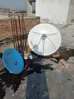 Dish